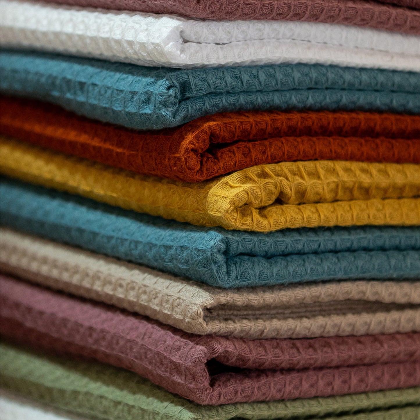 Piquet di cotone a nido d'ape - Ecru